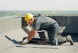 Best Roof Maintenance and Cleaning  in Brinckerhoff, NY